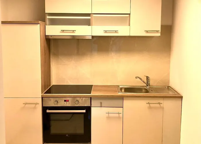 Deluxe With Garden Rapperswil-jona